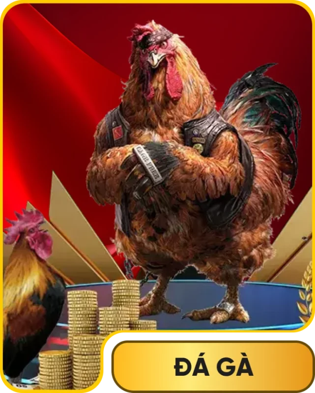 đá gà uu88