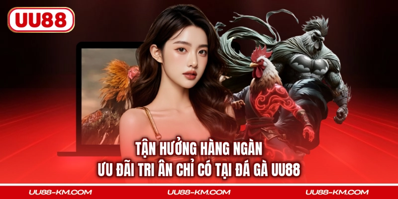 Tận hưởng hàng ngàn ưu đãi tri ân chỉ có tại đá gà UU88